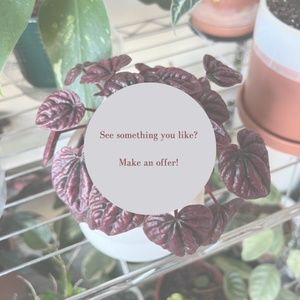 See something you like?